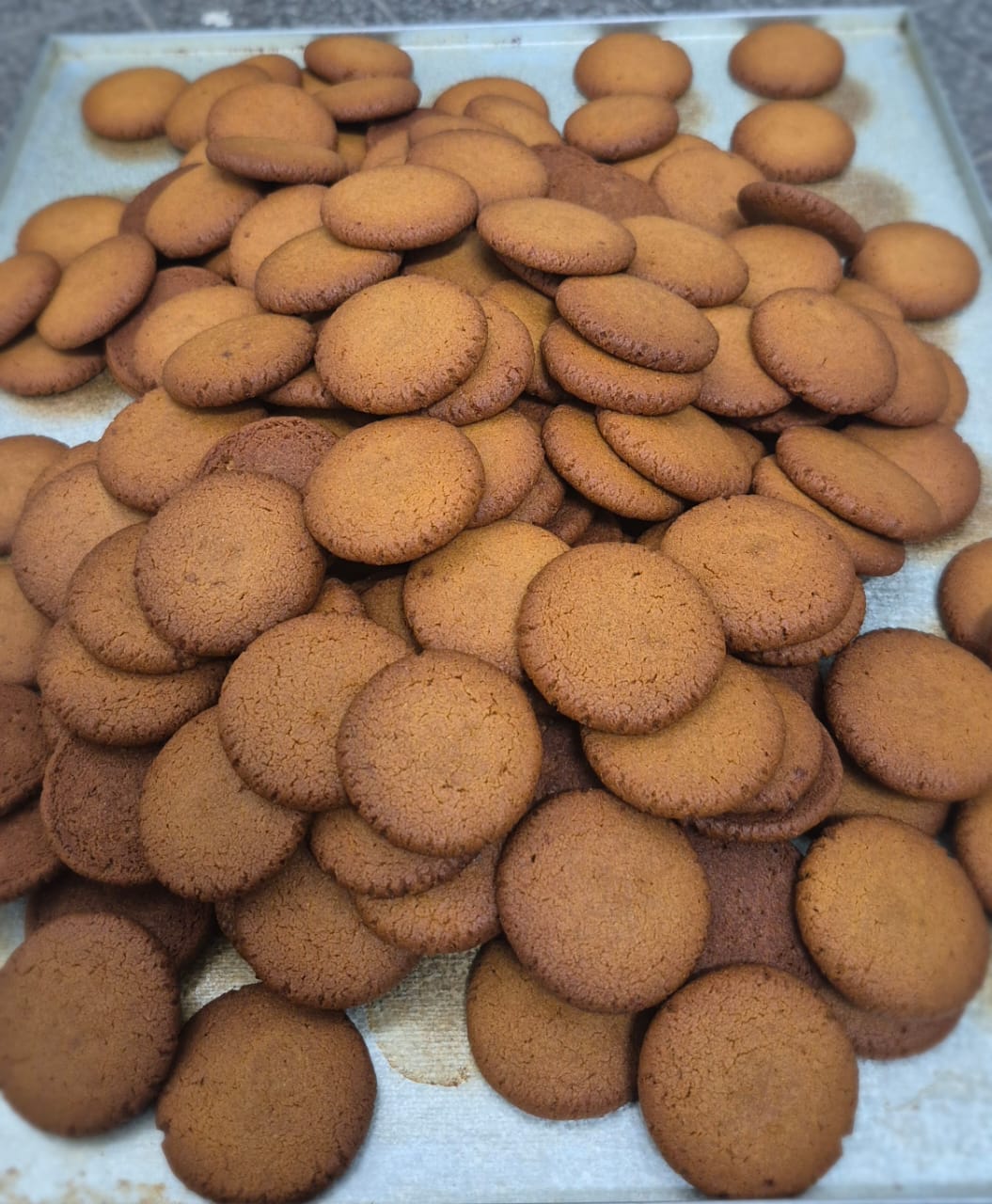 WhatsApp Image 2025-12-31 at 11.39.05 AM